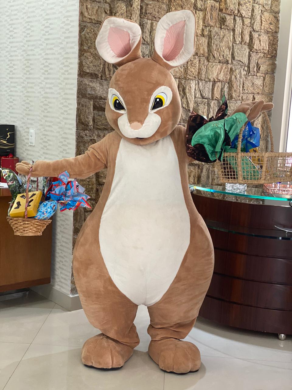 Coelho da Páscoa
