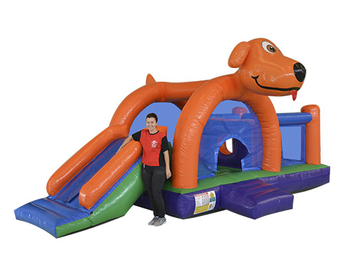 Dog Play