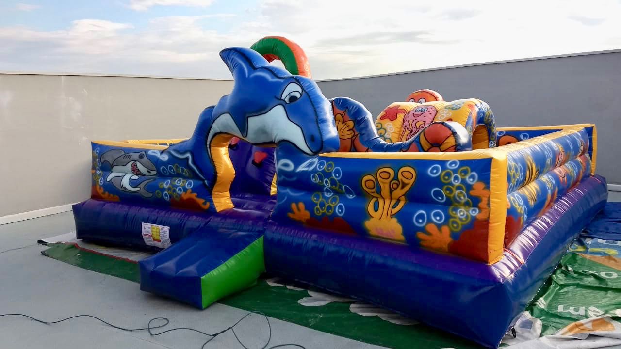 Kid Play Golfinho